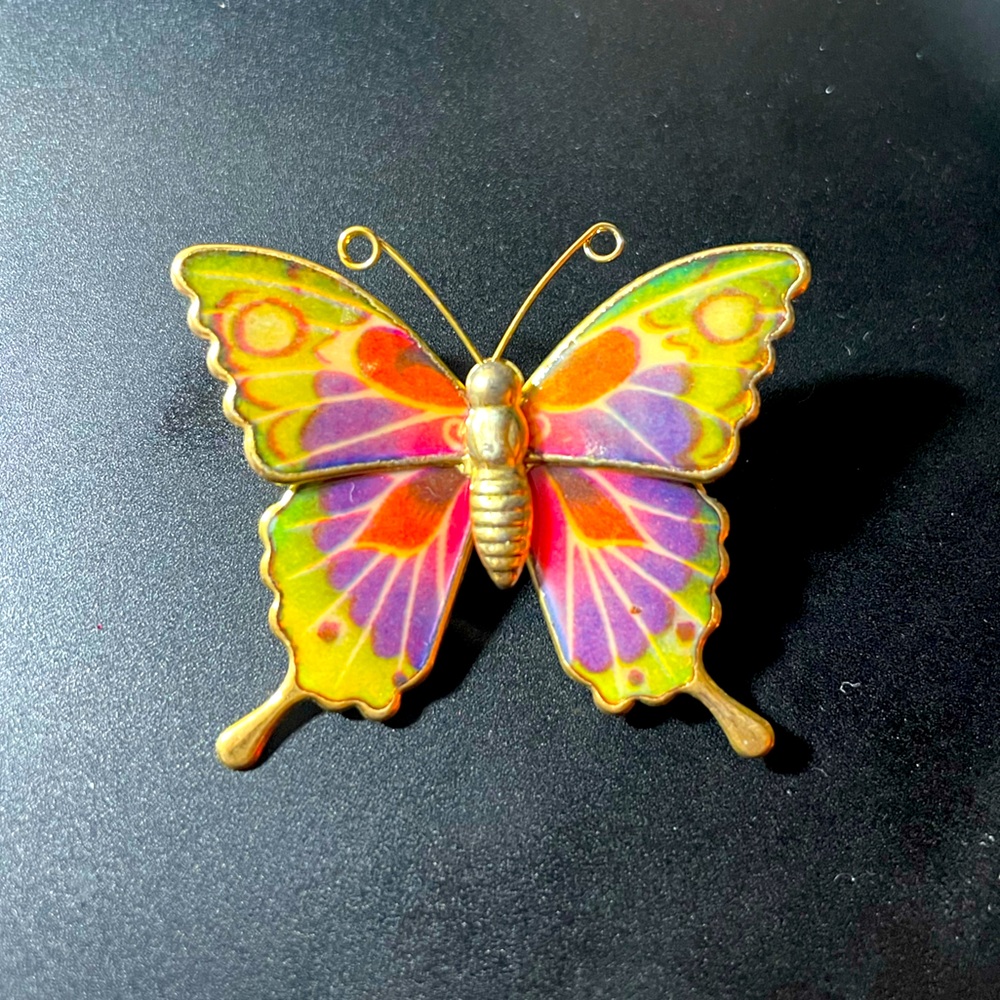 Beautiful Butterfly pin
